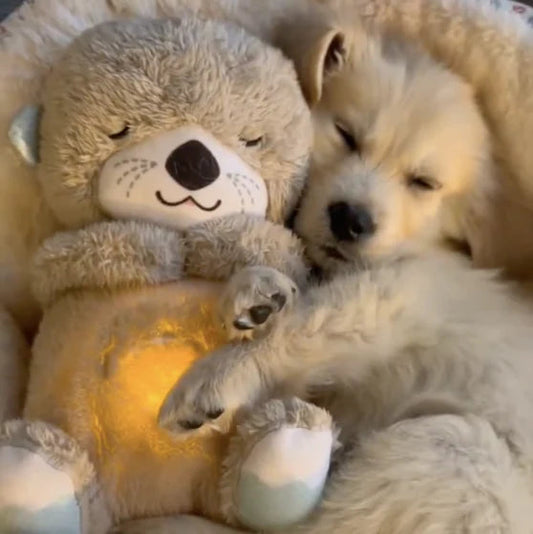 Calming Otter Plush | Pup's Instant Relief From Stress & Anxiety