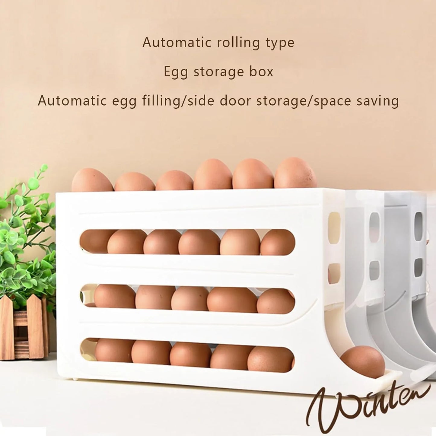 TRENDZ Egg-cellent Organization Solution