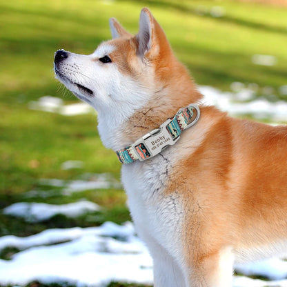 TRENDZ Personalized Dog Collar Printed