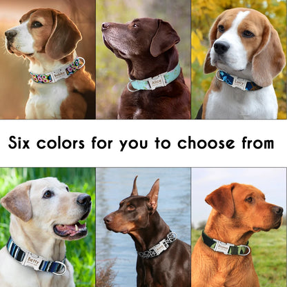 TRENDZ Personalized Dog Collar Printed