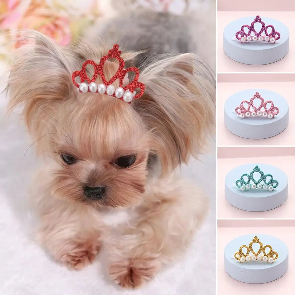 Cute Pet Headwear