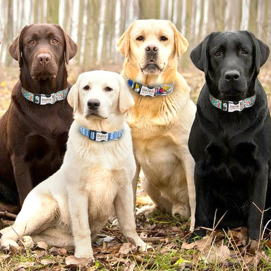 Personalized Dogs ID Collars With Engraved Name